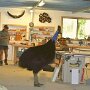 IMG_20260626_065834