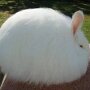 IMG_20260628_080642