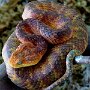 IMG_20260703_081024