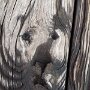 IMG_20260703_081102
