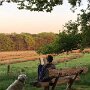IMG_20260704_084114