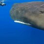 IMG_20260705_090839