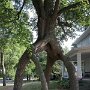 IMG_20260711_084059