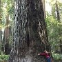 IMG_20260712_083807