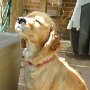 IMG_20260714_064936