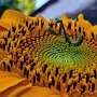 IMG_20260717_074800