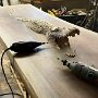 IMG_20260717_075009