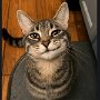 IMG_20260718_081754
