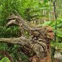 IMG_20260719_085151