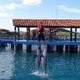 IMG_20260720_065822