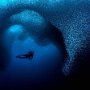 IMG_20260720_070004