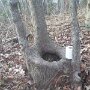 IMG_20260723_064848