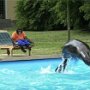 IMG_20260724_065451
