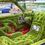 IMG_20260724_065534