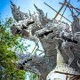 IMG_20260727_064854
