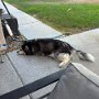 IMG_20260729_074650