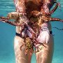 IMG_20260729_143434