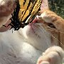 IMG_20260731_143650
