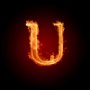 U