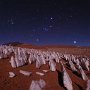 night-in-the-andes-ice-forest