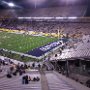 Buffalo Wold Wings Bowl