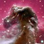 horsehead_aldohubble_1000