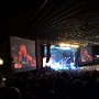 Foo Fighter Concert