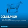 econ_cows_01